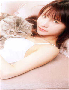 《星空无限传媒在线观看电视剧赘婿:冫-[20p]亚洲》